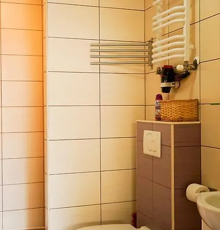 Apartament Antique Apartment