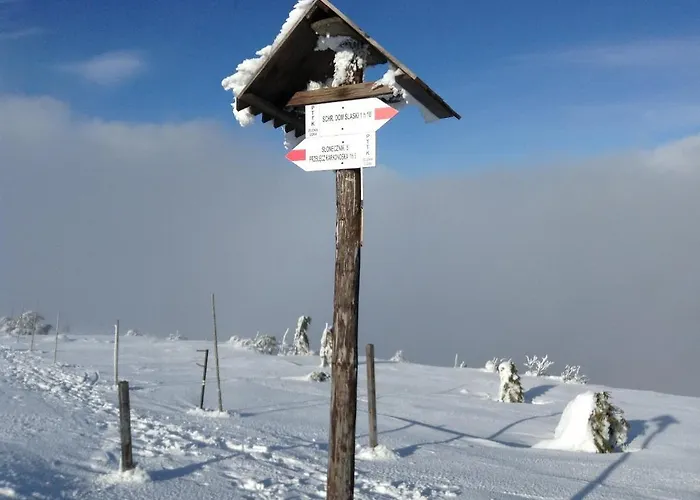 Apartament Antique Apartment